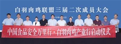 新利luck18(中国)体育·官方网站