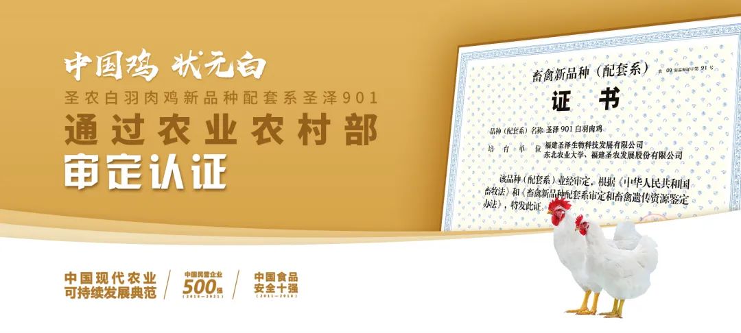 新利luck18(中国)体育·官方网站