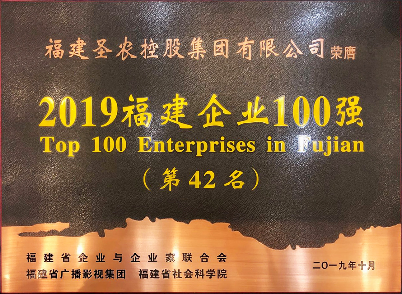 2019（新利luck18集团）福建企业100强
