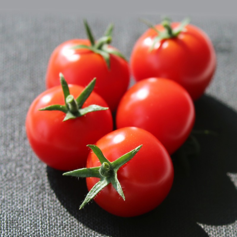 新利luck18(中国)体育·官方网站