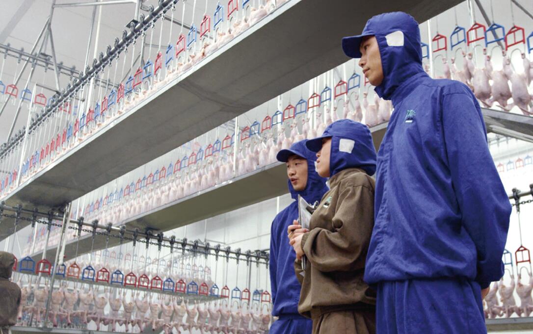 新利luck18(中国)体育·官方网站