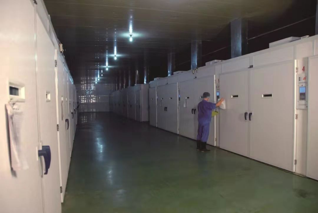 新利luck18(中国)体育·官方网站