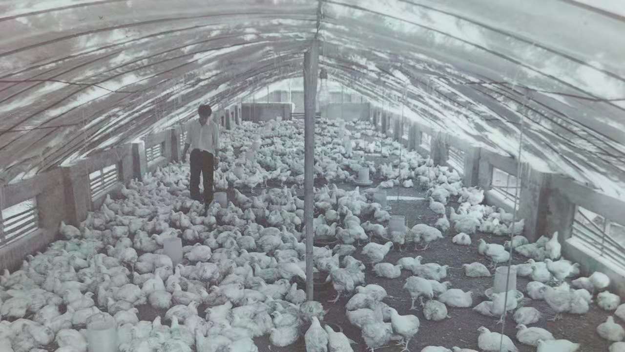 新利luck18(中国)体育·官方网站