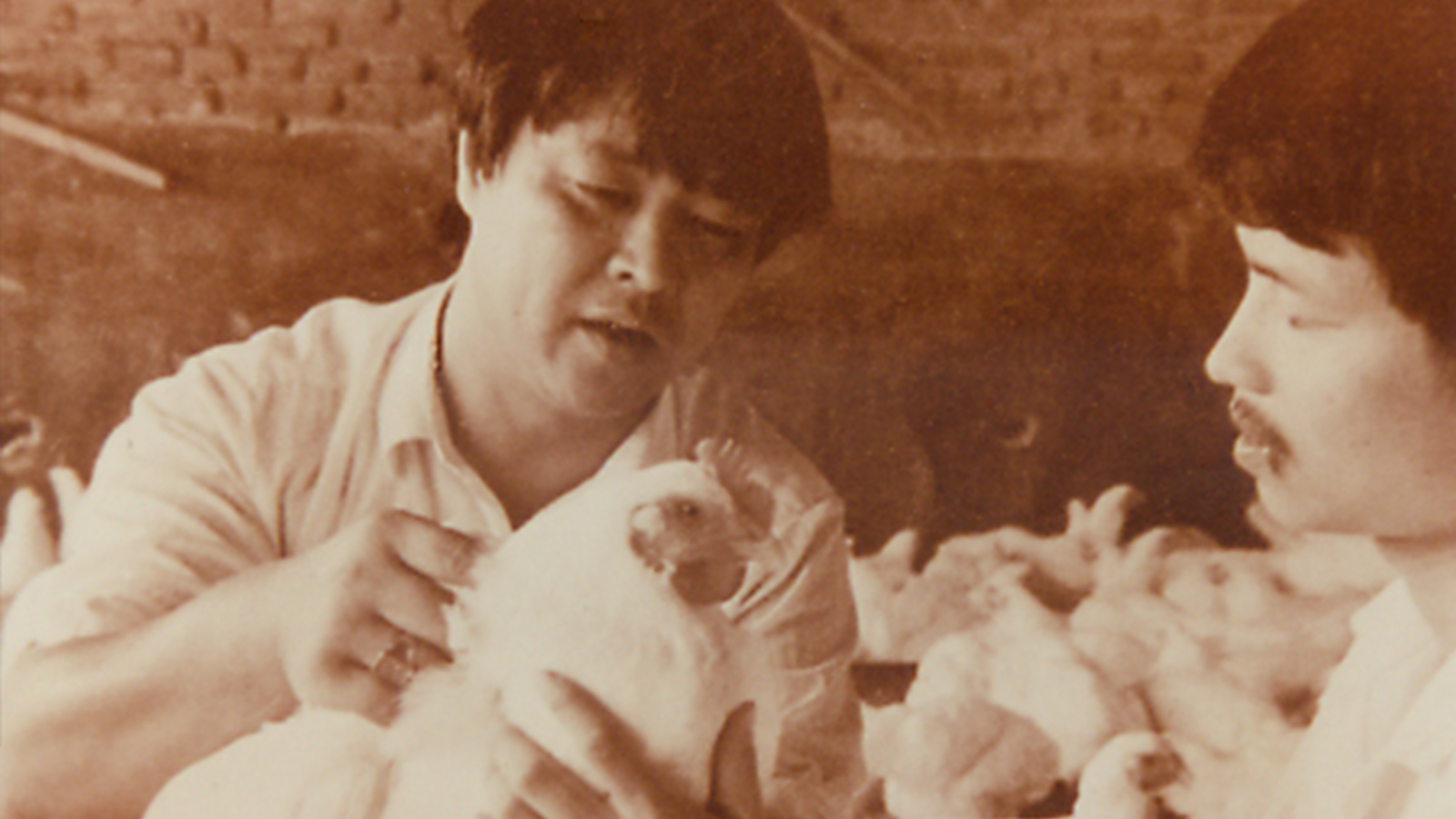 新利luck18(中国)体育·官方网站