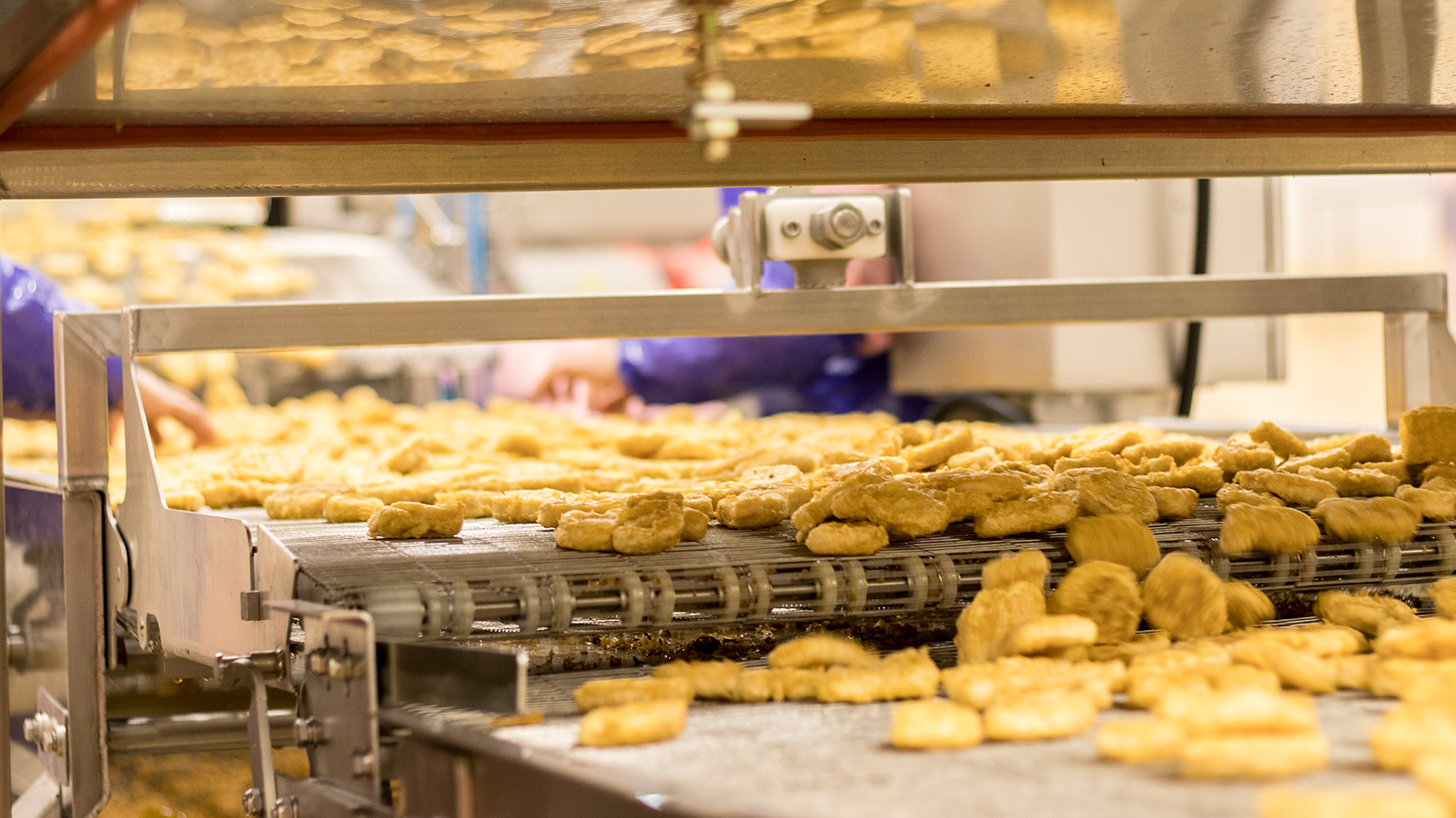 新利luck18(中国)体育·官方网站