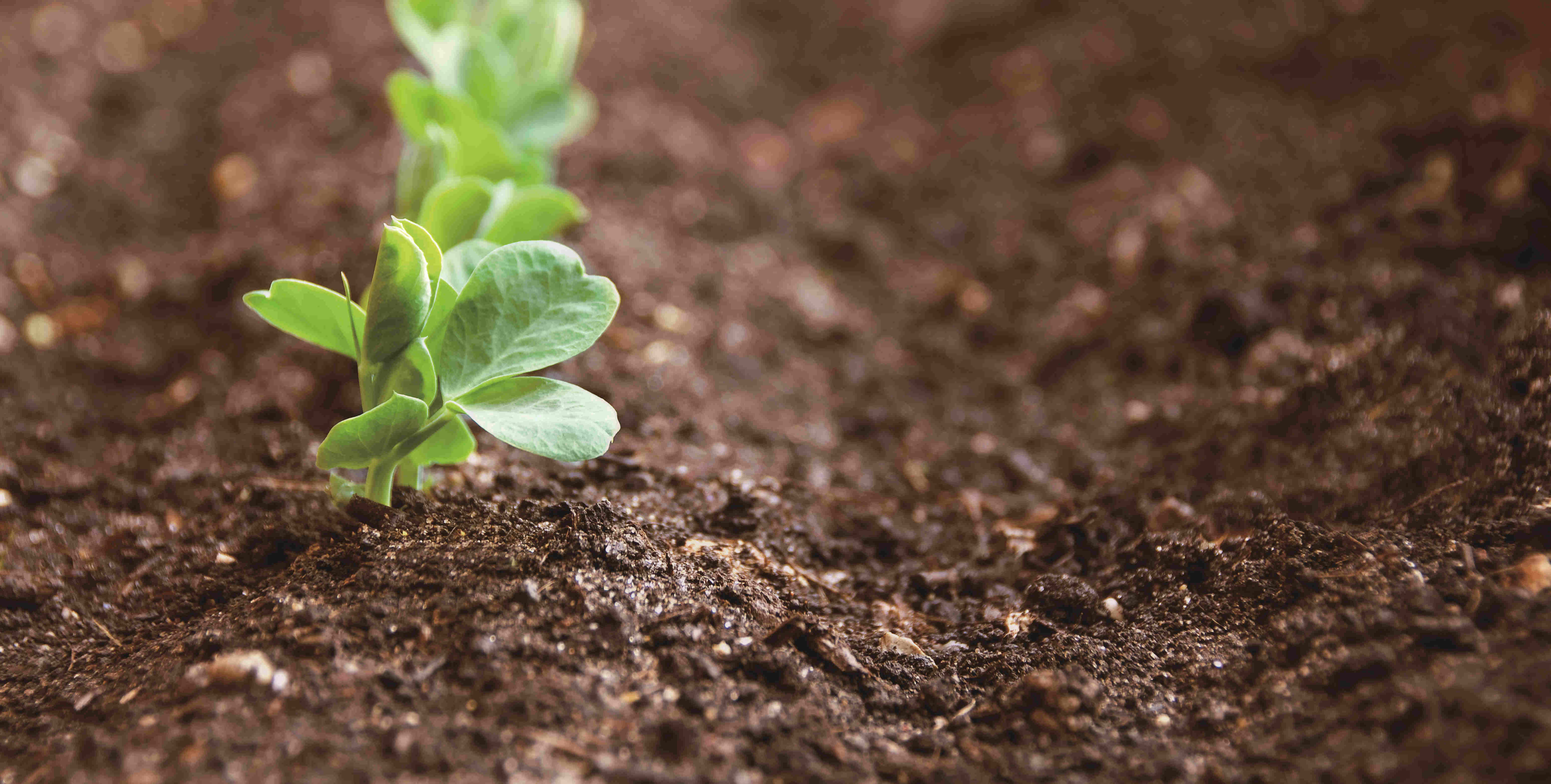 新利luck18(中国)体育·官方网站