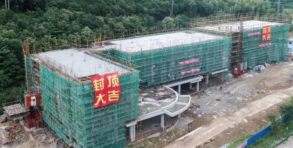 新利luck18(中国)体育·官方网站