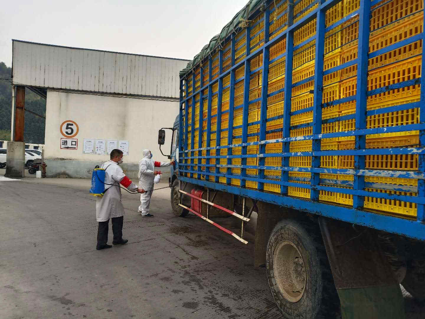 新利luck18(中国)体育·官方网站